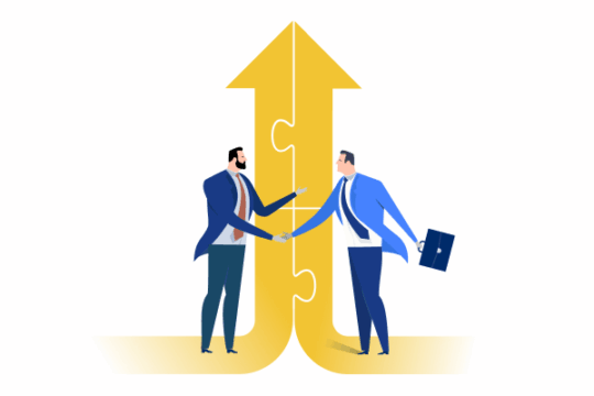 ERP Implementation Consultant