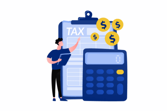 Financial Audit Company