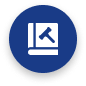 auditors