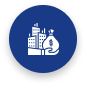 auditors