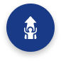 auditors