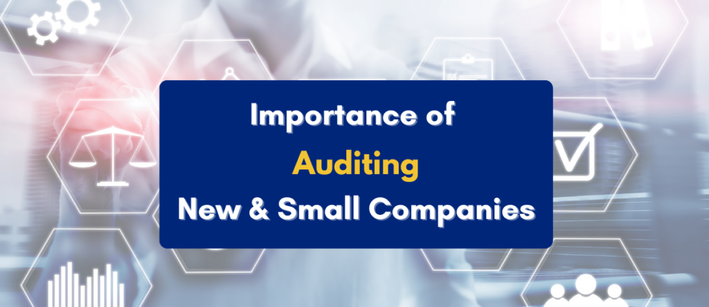 Auditing Start-ups and Small Businesses: Internal Controls and Financial Reporting