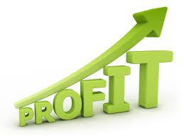 profit icon