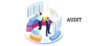 Process Audit