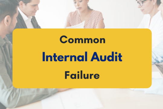 Common Internal Audit Failures in India - PKC