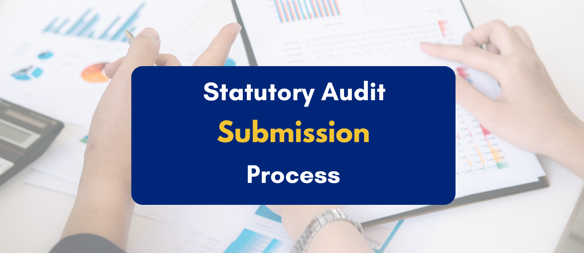 Statutory Audit Submission Process - PKC
